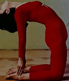 ヨガ体位法入門