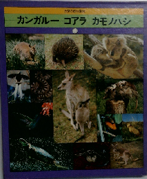 カンガルー コアラ カモノハシ