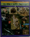 カンガルー コアラ カモノハシ