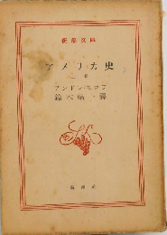 アメリカ史「上」