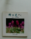 野の花星野 