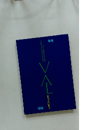 HAIR STYLING METHOD VARIATION ACTIVE LEARNING