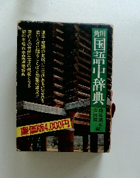国語中辞典