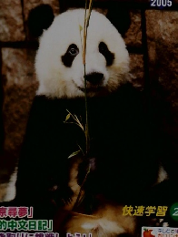 NHKテレビ 中国語会話　2005年1月号