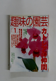 趣味の園芸　2002年1月号