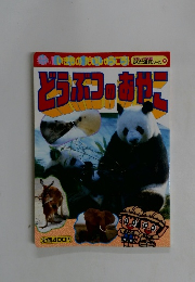 どうぶつのおあこ