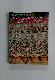 誰にもできるサツキ若木の樹形づくり