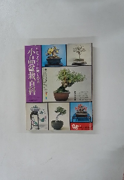小品盆栽百科　だれでもすぐに楽しめる!!
