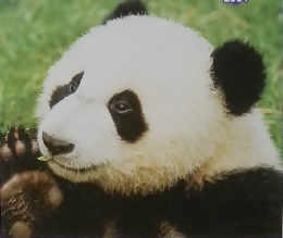 中国語会話　2004年6月号