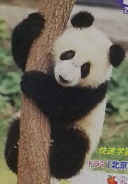 中国語会話　2004年5月号