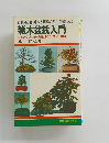 雑木盆栽入門