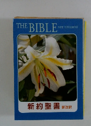 新約聖書 新改訳
