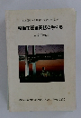 整備主任者業務の手引き   平成24年度 