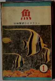 魚 原色圖鑑ライブラリー