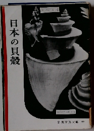 日本の貝殻　