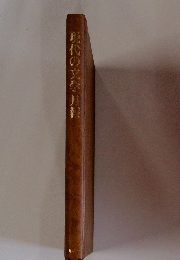 現代の文学月報