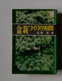 盆栽つくりの実際