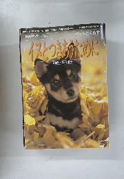 NHK趣味百科　ペットとくらす　イヌとつきあうために