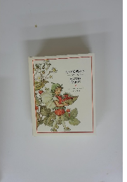 花の妖精たち-アルファベット-FLOWER　FAIRIES