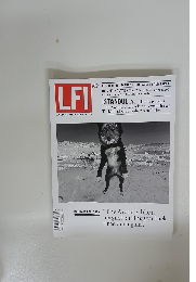 LFI　2016年2月号