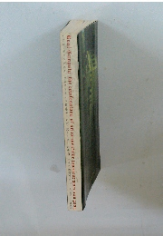 リアル ・ギャングスタ ウエストサイド日系ギャング・元リーダーの告白