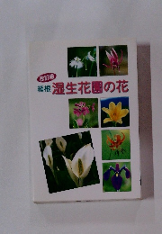 箱根湿生花園の花