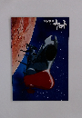 宇宙戦艦　ヤマト