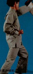 連続写真でみる 実戦中国拳法