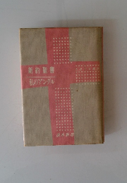 新約聖書私のアングル