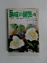 趣味の園芸　1977年4月号