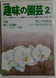 趣味の園芸 2　花梅新しい針葉樹　冬にシダを楽しむ