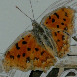 しぜん キンダーブック 3 じめんにいるむし