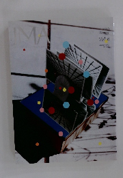 IMA　2013年冬号　Vol.6