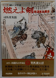 燃えよ剣 新潮熱血風録