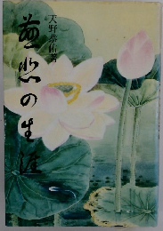 慈悲の生涯―長沼妙校伝