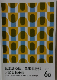 民事訴訟法/民事執行法　6b