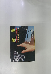 襲撃 悪党パーカー