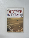 BIRDER　1994年9月号　