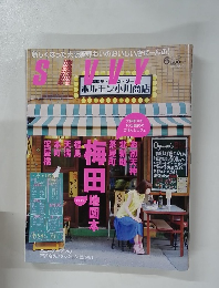 月刊サヴィ　2011年6月号