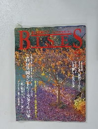BISES　1996年　冬