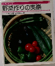 野菜作りの実際