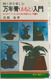柄と形を楽しむ 万年青(おもと) 入門 はじめてつくる人のための失敗のない培養法