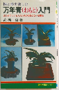柄と形を楽しむ 万年青(おもと) 入門 はじめてつくる人のための失敗のない培養法