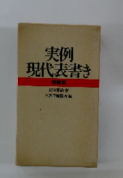 実例　現代表書き　特装版