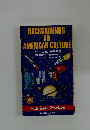 BACKGROUNDS TO AMERICAN CULTURE　