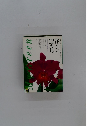 洋ラン12ヶ月