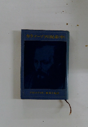 カラマーゾフの兄弟(中)