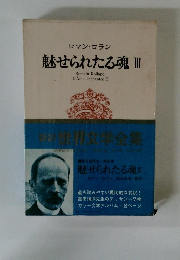 ロマン・ロラン 魅せられたる魂3