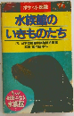 水族館の いきものたち