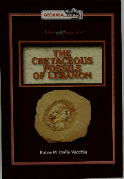 THE CRETACEOUS FOSSILS OF LEBANON